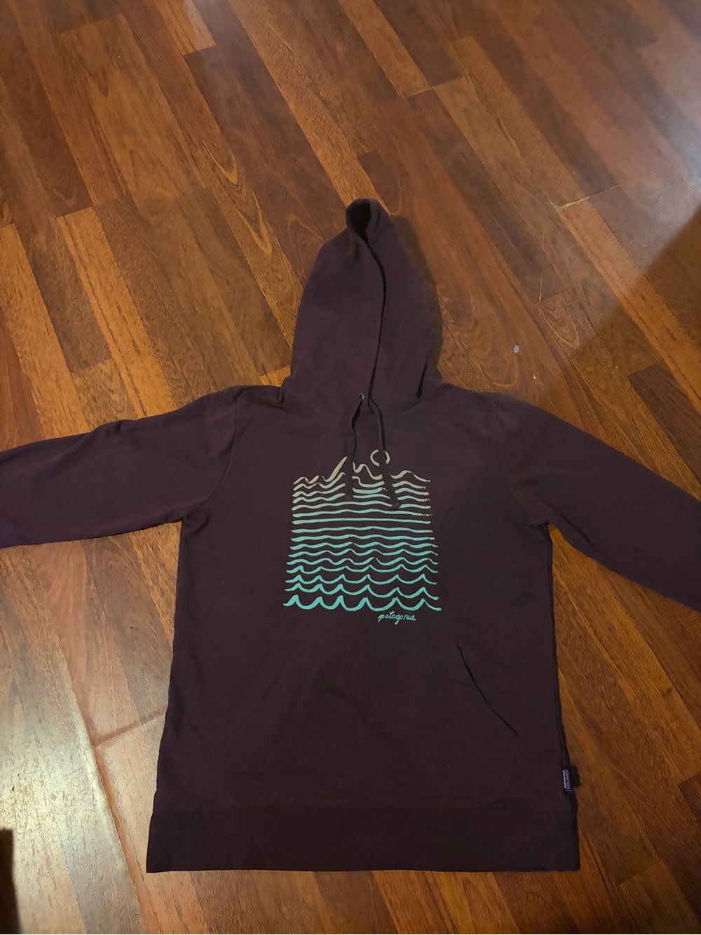Patagonia Men's Maroon Hoodie with Teal Wave Graphic
